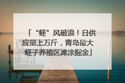 “蛏”风破浪！日供应量上万斤，青岛最大蛏子养殖区滩涂掘金