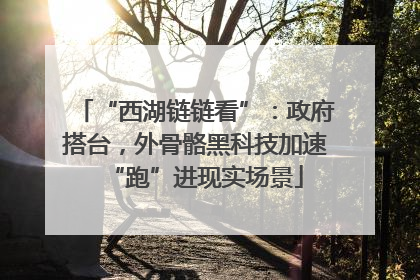 “西湖链链看”：政府搭台，外骨骼黑科技加速“跑”进现实场景