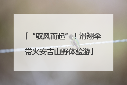 “驭风而起”！滑翔伞带火安吉山野体验游