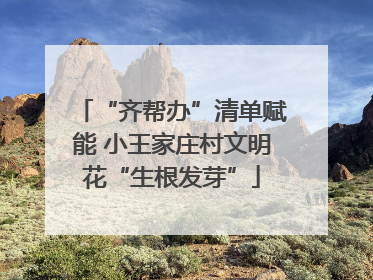 “齐帮办”清单赋能 小王家庄村文明花“生根发芽”
