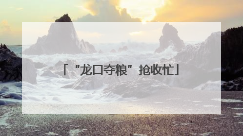 “龙口夺粮”抢收忙