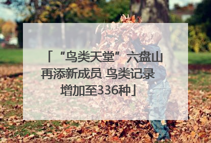 “鸟类天堂”六盘山再添新成员 鸟类记录增加至336种