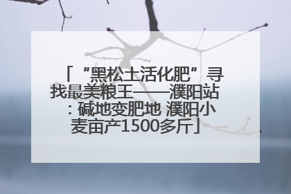 “黑松土活化肥”寻找最美粮王——濮阳站：碱地变肥地 濮阳小麦亩产1500多斤