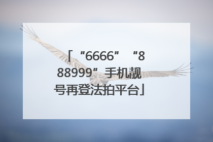 “6666”“888999”手机靓号再登法拍平台