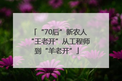 “70后”新农人“王老开”从工程师到“羊老开”