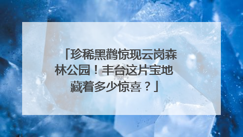 珍稀黑鹳惊现云岗森林公园！丰台这片宝地藏着多少惊喜？