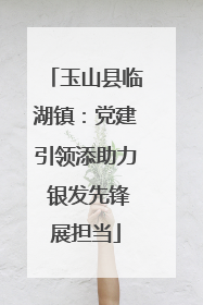 玉山县临湖镇：党建引领添助力 银发先锋展担当