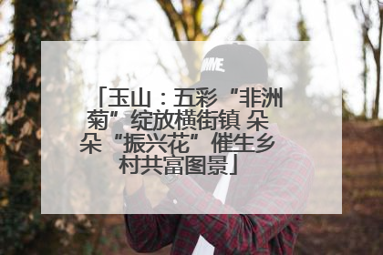 玉山：五彩“非洲菊”绽放横街镇 朵朵“振兴花”催生乡村共富图景