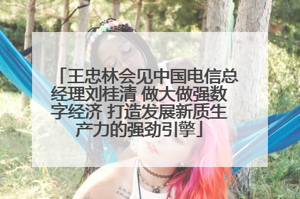 王忠林会见中国电信总经理刘桂清 做大做强数字经济 打造发展新质生产力的强劲引擎