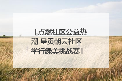 点燃社区公益热潮 呈贡朝云社区举行绿美挑战赛