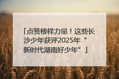 点赞榜样力量！这些长沙少年获评2025年“新时代湖南好少年”