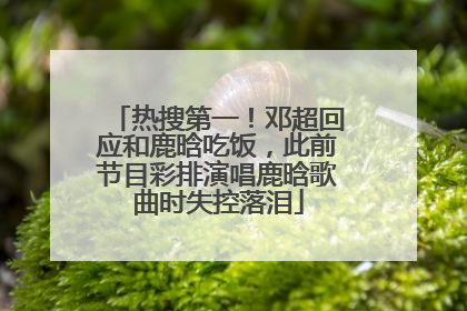 热搜第一！邓超回应和鹿晗吃饭，此前节目彩排演唱鹿晗歌曲时失控落泪
