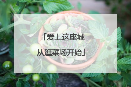 爱上这座城 从逛菜场开始