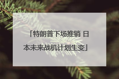 特朗普下场推销 日本未来战机计划生变