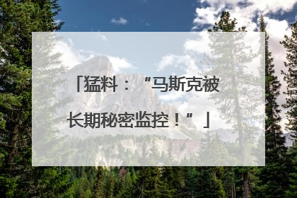 猛料：“马斯克被长期秘密监控！”