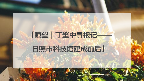 瞭望｜丁肇中寻根记——日照市科技馆建成前后