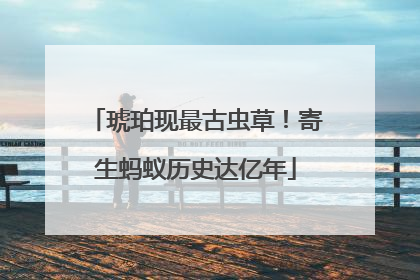 琥珀现最古虫草！寄生蚂蚁历史达亿年