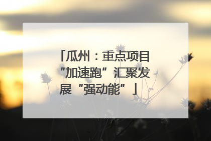 瓜州：重点项目“加速跑”汇聚发展“强动能”