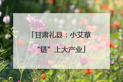 甘肃礼县：小艾草“链”上大产业