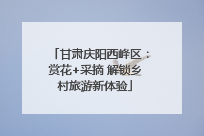 甘肃庆阳西峰区：赏花+采摘 解锁乡村旅游新体验