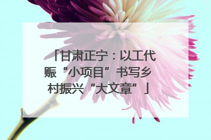 甘肃正宁：以工代赈“小项目”书写乡村振兴“大文章”