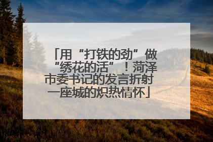 用“打铁的劲”做“绣花的活”！菏泽市委书记的发言折射一座城的炽热情怀