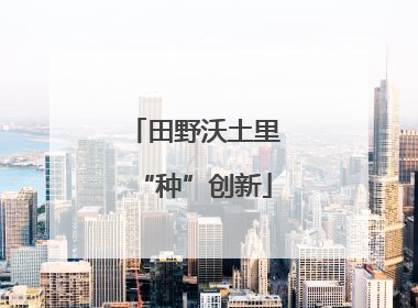 田野沃土里“种”创新
