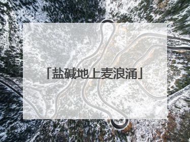 盐碱地上麦浪涌