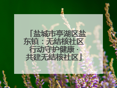 盐城市亭湖区盐东镇：无结核社区行动守护健康 ·共建无结核社区