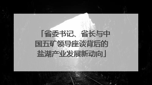 省委书记、省长与中国五矿领导座谈背后的盐湖产业发展新动向
