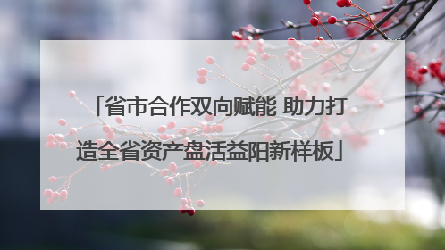 省市合作双向赋能 助力打造全省资产盘活益阳新样板