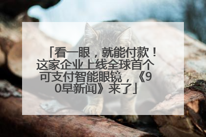 看一眼，就能付款！这家企业上线全球首个可支付智能眼镜，《90早新闻》来了