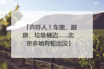 真吓人！车里、厨房、垃圾桶边……北京多地有蛇出没