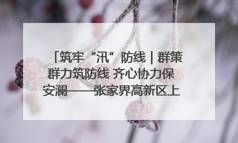 筑牢“汛”防线｜群策群力筑防线 齐心协力保安澜——张家界高新区上下众志成城迎战汛情
