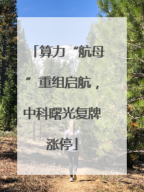 算力“航母”重组启航，中科曙光复牌涨停