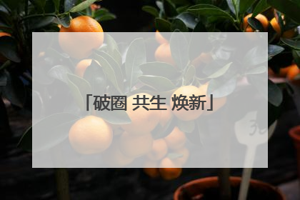 破圈 共生 焕新