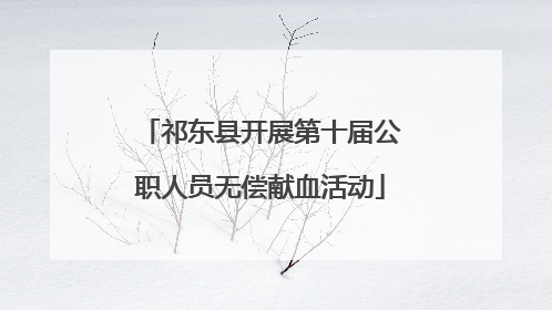 祁东县开展第十届公职人员无偿献血活动
