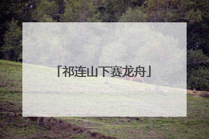 祁连山下赛龙舟