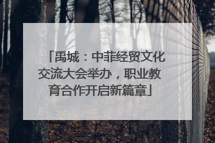 禹城：中菲经贸文化交流大会举办，职业教育合作开启新篇章