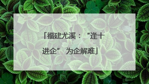 福建尤溪：“逢十进企” 为企解难