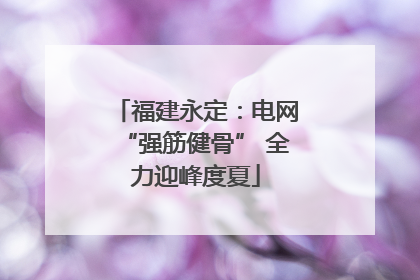福建永定：电网“强筋健骨” 全力迎峰度夏