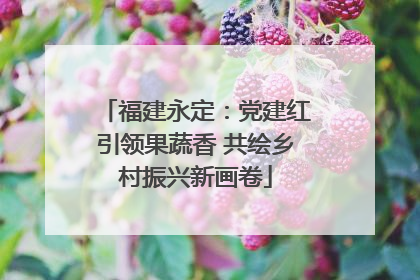 福建永定：党建红引领果蔬香 共绘乡村振兴新画卷