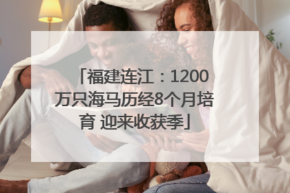福建连江：1200万只海马历经8个月培育 迎来收获季