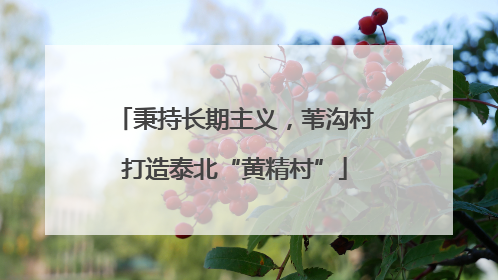 秉持长期主义，苇沟村打造泰北“黄精村”