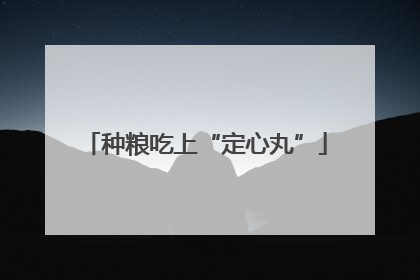 种粮吃上“定心丸”