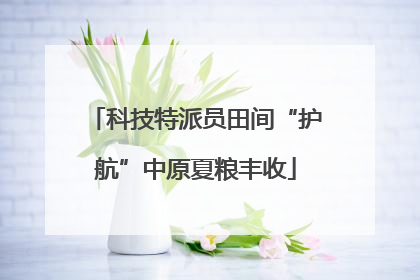 科技特派员田间“护航”中原夏粮丰收