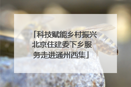 科技赋能乡村振兴 北京住建委下乡服务走进通州西集