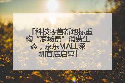 科技零售新地标重构“家场景”消费生态，京东MALL深圳首店启幕