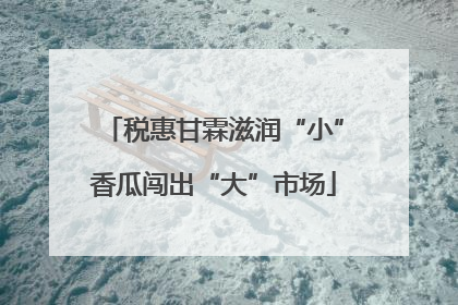 税惠甘霖滋润“小”香瓜闯出“大”市场
