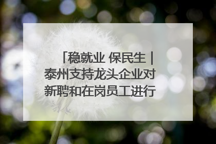 稳就业 保民生｜泰州支持龙头企业对新聘和在岗员工进行实训——到岗就能用 用了就见效